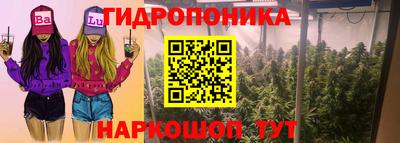 ГАЛЛЮЦИНОГЕННЫЕ ГРИБЫ Донской