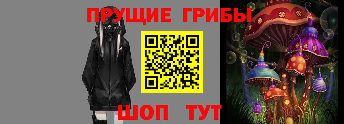 Псилоцибиновые грибы MAGIC MUSHROOMS  Вход с VPN  Малгобек 