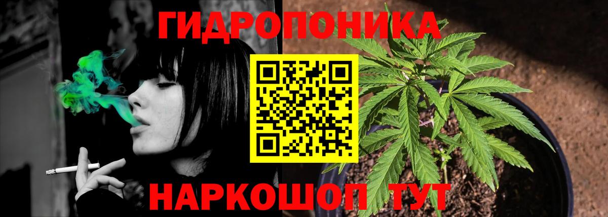 Шишки марихуана OG Kush Малгобек